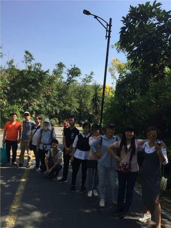 銀聯寶小團隊